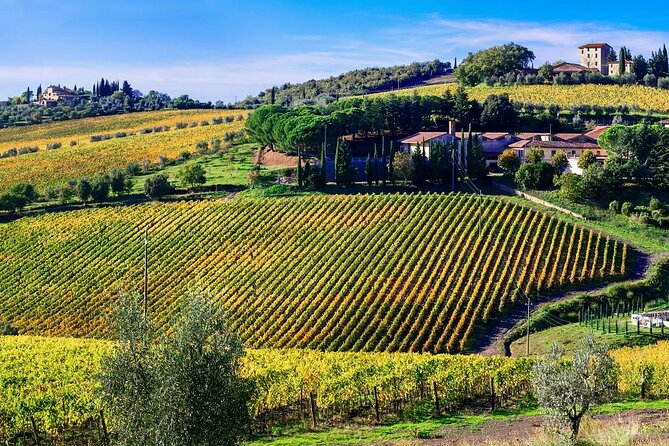 Chianti Vespa Tour - Can you drive a Vespa? The rules that matter before you go