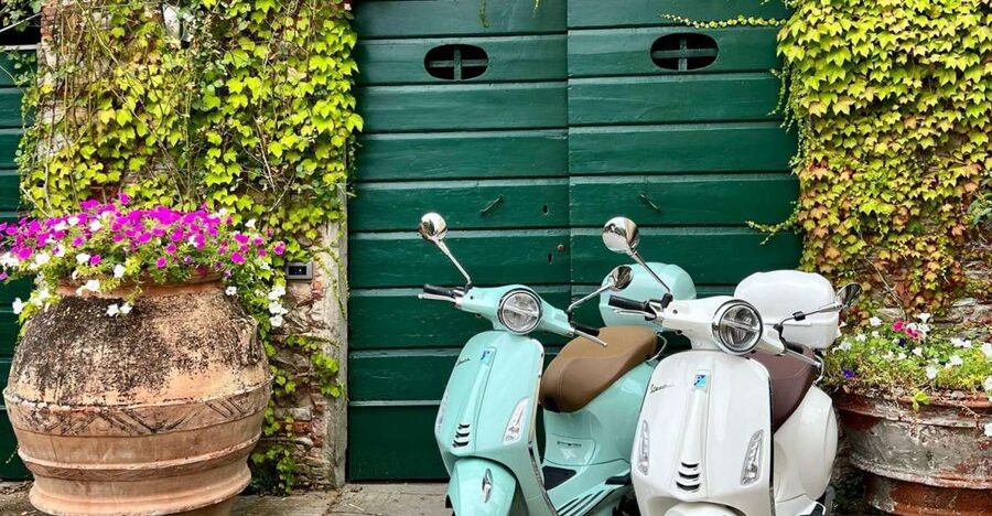 Explore the Rolling Hills of Lucca on a Vespa 125 Primavera - The ride to Compitese: olive roads and the Nottolini aqueduct moment