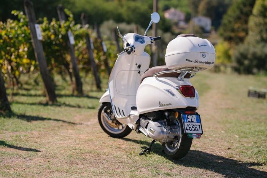 Explore the Rolling Hills of Lucca on a Vespa 125 Primavera - Massaciuccoli Lake and the Paludose region: the payoff stop