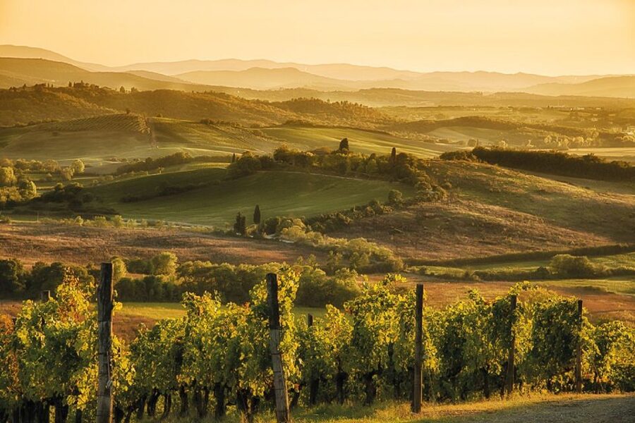 Florence/Badesse: Tuscany Group Vespa Tour with Wine Tasting - The Exclusive Winery Stop: Guided Tour and Wine Tasting With Time to Breathe