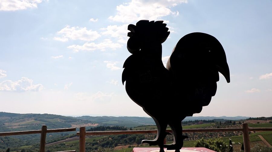 From Florence: Chianti Self-Guided Vespa Tour with Lunch - Safety, helmets, and insurance: the parts you should understand before you ride