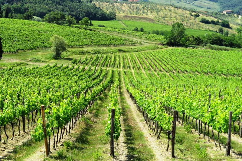 From Florence: Chianti Self-Guided Vespa Tour with Lunch - Before you go: licenses, the €900 deposit, and the advanced rider rule