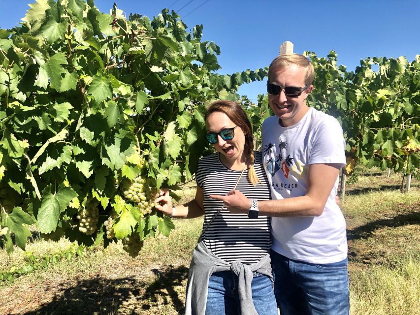 From San Gimignano: Chianti Half-Day Vespa Tour with Lunch - Practical tips before you ride: documents, deposit, and clothing
