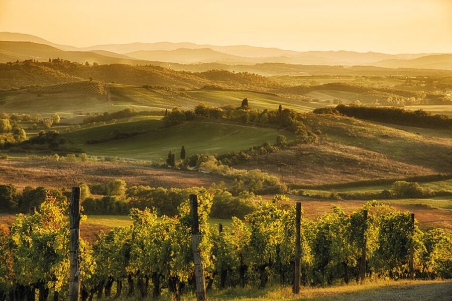 From San Gimignano: Vespa Tour in Chianti - Winery Stop: Guided Tour, Tasting, and Local Snacks
