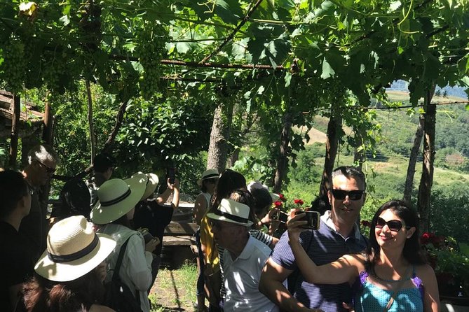 Full-Day Chianti Tour by Vespa Scooter from San Gimignano - Weather and safety: the real-world scooter rules
