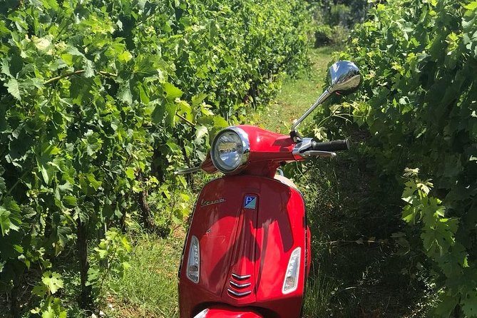 Full-Day Chianti Tour by Vespa Scooter from San Gimignano - Driver vs passenger: who should choose each option