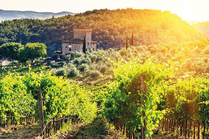 Full-Day Chianti Tour by Vespa Scooter from San Gimignano - What to pack: helmet rules, clothing, and the credit-card detail