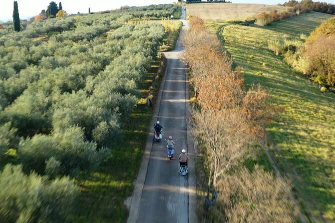 Half Day Vespa Countryside Tour and Tastings in Istria - Safety, Helmets, and the Reality of 50cc vs 125cc