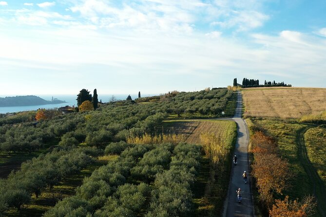 Half Day Vespa Countryside Tour and Tastings in Istria - Stop 3: Padna Olive Oil Farm Tasting, Village Walk, and Lunch