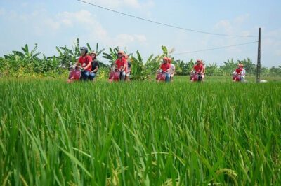 Hanoi Vespa Tours: Hanoi Vintage Vespa Tours Countryside - Co Loa Citadel and Farm Time: History Meets Everyday Agriculture