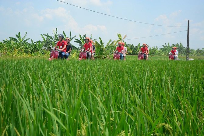 Hanoi Vespa Tours: Hanoi Vintage Vespa Tours Countryside - Co Loa Citadel and Farm Time: History Meets Everyday Agriculture