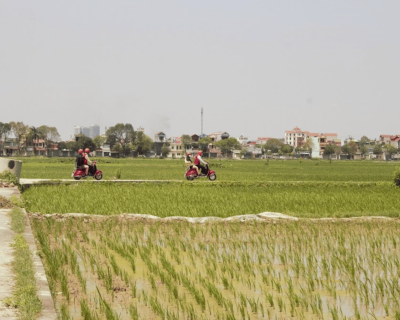 Hanoi Vintage Vespa Tours: A Half-Day Countryside Adventure - Bonsai in a traditional 200-year-old house