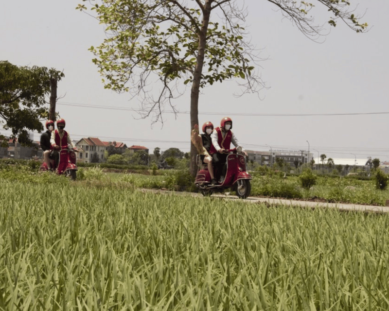 Hanoi Vintage Vespa Tours: A Half-Day Countryside Adventure - Co Loa Ancient Citadel (200 BC) and broom craft in Hoi Phu village