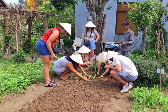 Hoi An Cooking Class & Vespa Cooking Adventure Tour - Tra Que Vegetable Village: where the herbs come from