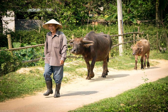 HOI AN Countryside - River Islands - Old Crafts - Local Culture - Stop 4: Duy Hai coffee break where snacks and drinks help reset
