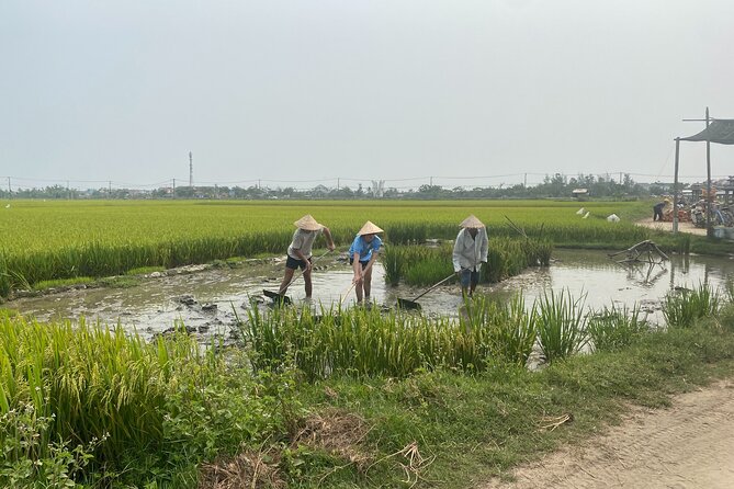 Hoi An Countryside Vespa Tour: Food, Culture & Daily Life - Duy Vinh and Tra Nhieu craft culture: Whale Temple and working villages
