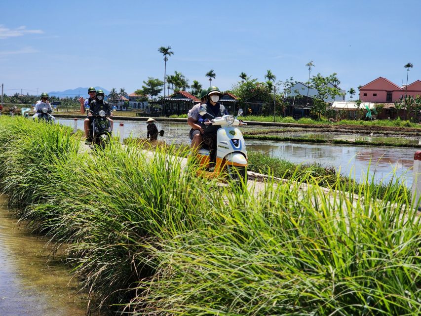 Hoi An Highlights and Hidden Gems Tour by Vespa - The Included Set Menu: Family-Style Food You Can Actually Taste