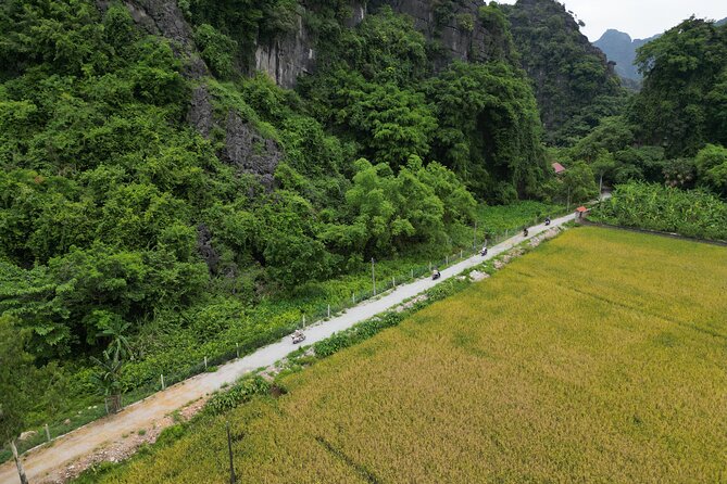 Ninh Binh Jeep/Vespa Tours: Highlights & Hidden Gems - Bich Dong Pagoda: Cave Atmosphere Plus a Viewpoint Trek