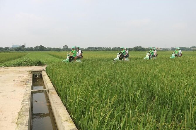 Ninh Binh Vespa Start from Hanoi + Boat + Villages +Rice Paddies - One thing to think about first