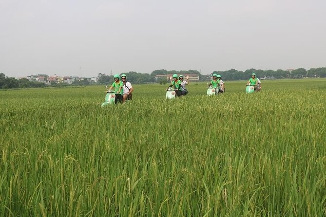Ninh Binh Vespa Start from Hanoi + Boat + Villages +Rice Paddies - Mua Cave and the 500-step loop: when the climb is worth it