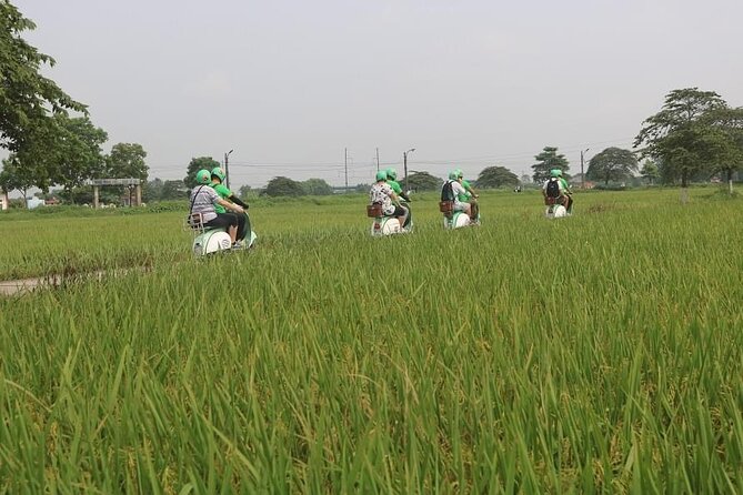 Ninh Binh Vespa Start from Hanoi + Boat + Villages +Rice Paddies - Lunch in the countryside: set menu, local flavors, and dietary notes
