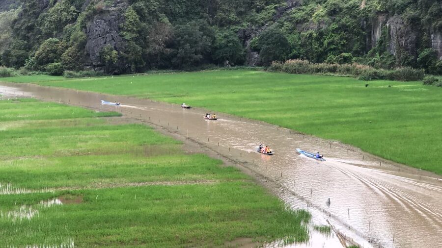 Ninh Binh Vespa Tours from Hanoi: Vespa + Boat + Daily Life - Key highlights worth waking up early for