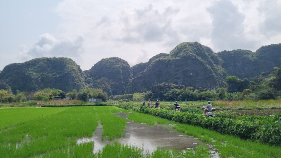 Ninh Binh Vespa Tours from Hanoi: Vespa + Boat + Daily Life - Ngo Dong bamboo boat and three underground caves