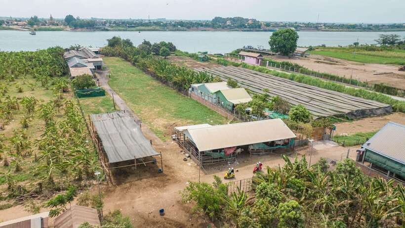 Phnom Penh Silk Island Sunset Vespa Tour / Tuk Tuk Available - SMango House Resort Break + Family Craft Stops (Tofu and Silk)