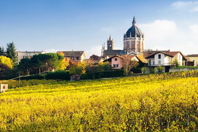 Private Vespa Tour "Among the hills of Barolo and Barbaresco" - Key Things I’d Book This For