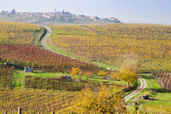 Private Vespa Tour "Among the hills of Barolo and Barbaresco" - Alba for Lunch or a Wander: The Langhe’s Hub