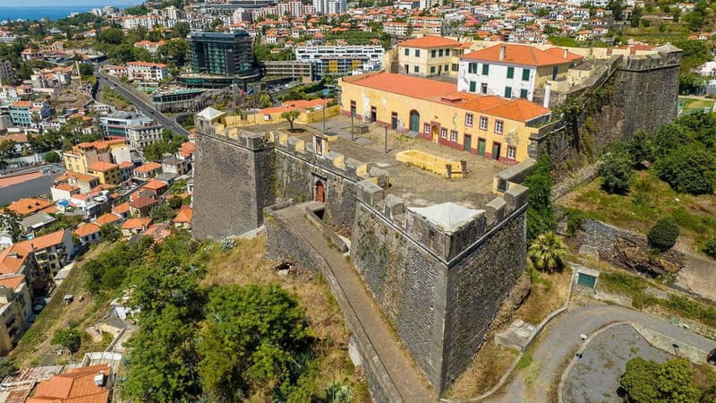 Private Vespa Tour Funchal & Câmara Lobos (3hrs) - Meeting at Rua Princesa Dom Amélia: start easy, then build momentum