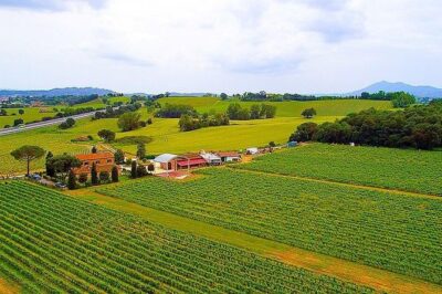 Romantic Vespa Tour and Wine Tasting - Val d’Orcia vs Lake Trasimeno: picking the right mood for your ride