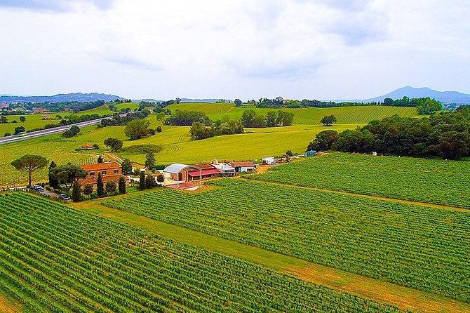 Romantic Vespa Tour and Wine Tasting - Val d’Orcia vs Lake Trasimeno: picking the right mood for your ride