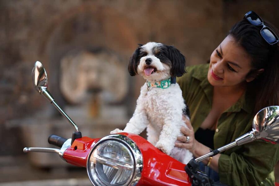 Rome: Guided Vespa Tour with Professional Photoshoot - Giardino degli Aranci: Orange Garden Views with Real Rome Scale