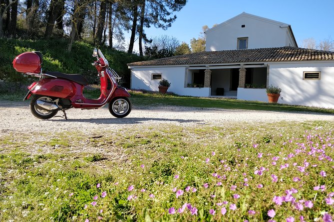 Savour The Flavors Of Corfu Vespa Scooter Tour - The first taste stop: Lazaris Distillery and artisan sweets