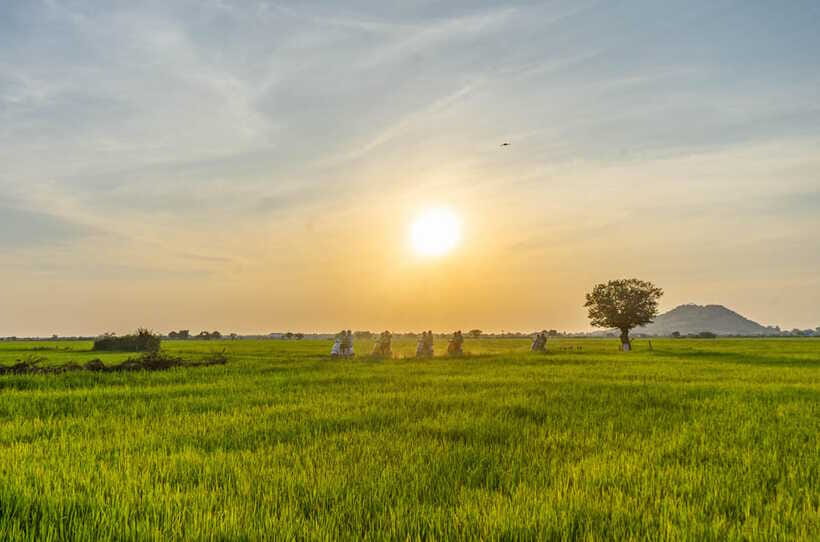 Siem Reap Countryside Sunset Vespa Tour or Tuk Tuk - Drinks, Refreshments, and the Social Pace of a Small Group
