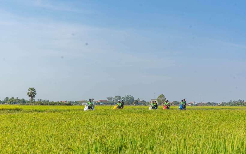 Siem Reap Countryside Sunset Vespa Tour or Tuk Tuk - Rain or Shine: How to Prepare Without Overthinking It
