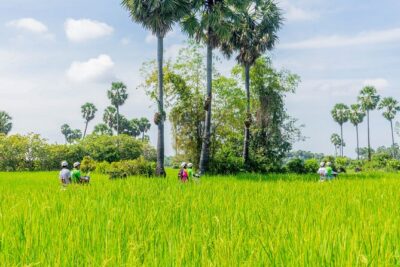 Siem Reap: Countryside Vespa Tour / Tuk Tuk Available - Getting Out of Town: Khmer Buddhist Temple and Local Craft Stops