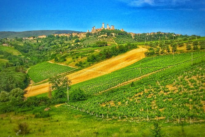 Tuscany Vespa Tour from Florence with Wine Tasting - Chianti wine tasting and winery lunch: the part you’ll remember later