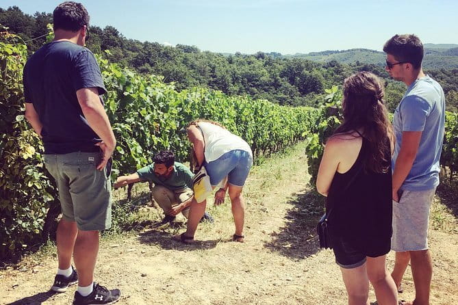 Tuscany Vespa Tours Through the Hills of Chianti - Buying Wine and Olive Oil: How to Make It Worth It