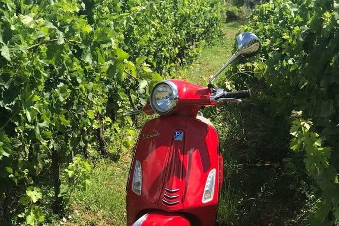Vespa Motorcycle rental in Florence - Helmets, Passenger Options, and the Driver License Reality Check