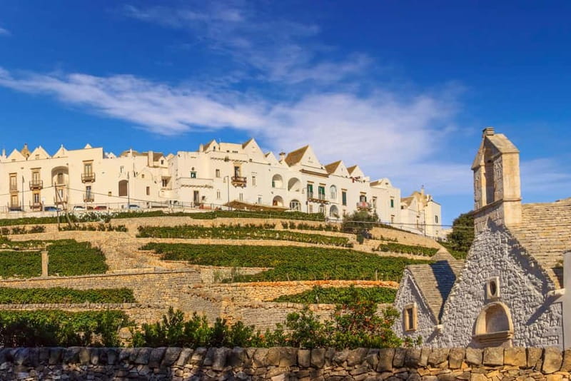Vespa scenic tour: Trulli and Countryside with tastings in Itria Valley - Key Highlights You’ll Feel Right Away