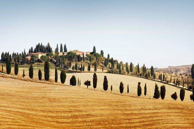 Vespa Tour with Lunch&Chianti Winery from Siena - Key things to know before you go