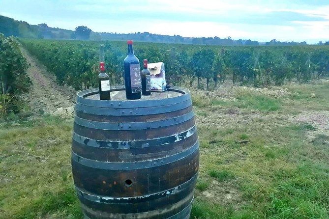 Vespa Tour with Lunch&Chianti Winery from Siena - Castellina in Chianti for one hour: the best use of short free time